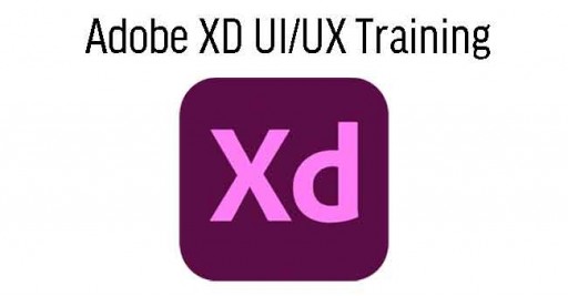 Adobe XD UI/UX Training 