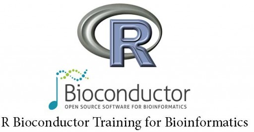 R Bioconductor Training for Bioinformatics