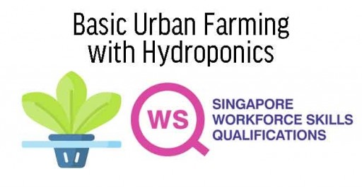 WSQ Flower Design and Arrangement 