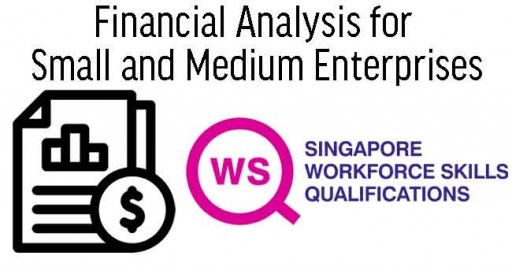 WSQ Financial Analysis for Small and Medium Enterprises