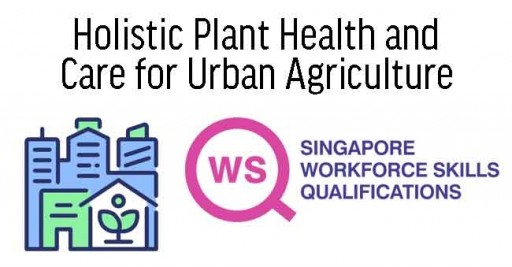 Manage Plant Health for Hydroponics Urban Farming