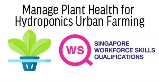 Manage Plant Health for Hydroponics Urban Farming