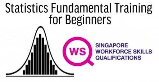 WSQ Statistics Fundamental Training for Beginners