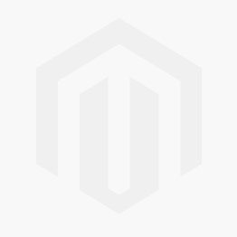 WSQ funded WSQ Practical Reinforcement Learning for Beginners ...