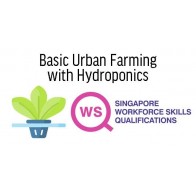 WSQ - Basic Urban Farming with Hydroponics