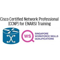 Cisco Certified Network Professional (CCNP) for ENARSI Training