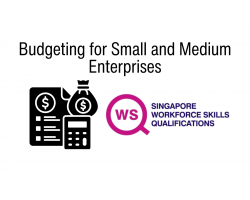 WSQ Budget Control for Small and Medium Enterprises