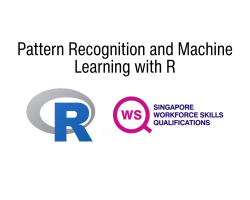WSQ Pattern Recognition and Machine Learning with R 