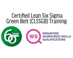 WSQ - Process Performance Improvement with Six Sigma