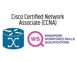 WSQ Cisco Certified Network Associate 