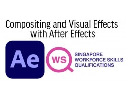 WSQ - Video Editing with After Effects