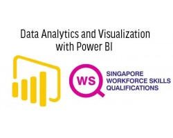 WSQ Data Analytics and Visualization with Power BI