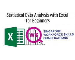 WSQ Statistics Data Analysis with Excel for Beginners 