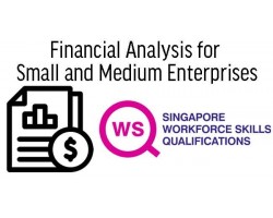 WSQ Financial Analysis for Small and Medium Enterprises