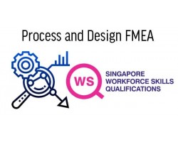 WSQ Process and Design FMEA