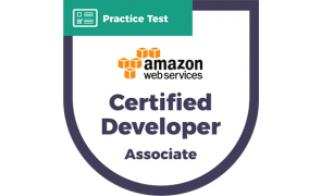 DVA-C01 AWS Certified Developer - Associate | CyberVista Practice Test