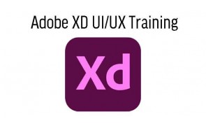 Adobe XD UI/UX Training 