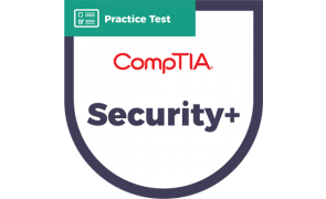 SY0-601 Security+ | CyberVista Practice Test