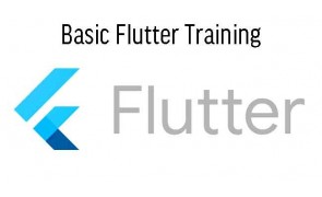 Basic Flutter Training in Singapore
