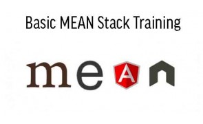 Basic MEAN Stack Training