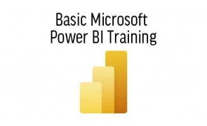 Basic Microsoft Power BI Training