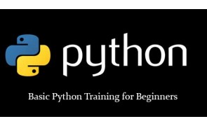 Basic Python Training for Beginners in Singapore