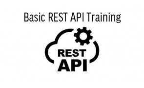 Basic REST API Training