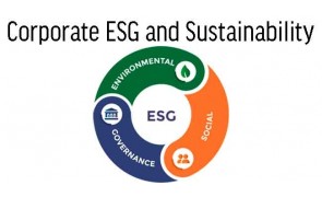 Corporate ESG and Sustainability