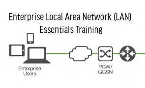 Enterprise Local Area Network (LAN) Essentials Training
