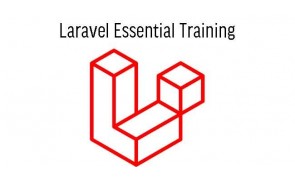 Laravel Essential SkillsFuture Training in Singapore