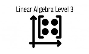Linear Algebra Level 3 (8 Sessions)