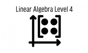 Linear Algebra Level 4 (8 Sessions)