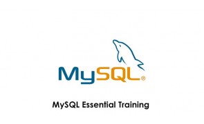 MySQLTutorial Training in Singapore