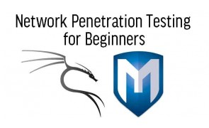 Network Penetration Testing for Beginners