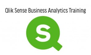 Qlik Sense Business Analytics Training