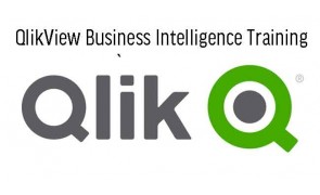 QlikView Business Intelligence Training