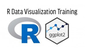 R Data Visualization Training in Singapore