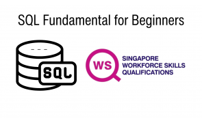 NICF - SQL Fundamental for Beginners 