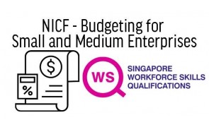 WSQ Budget Control for Small and Medium Enterprises