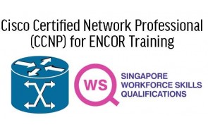 WSQ Cisco Certified Network Professional (CCNP) for ENCOR Training 