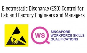 MBTI Communication Training