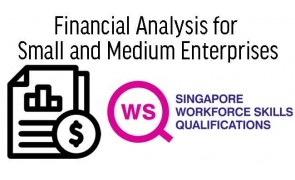 WSQ Financial Analysis for Small and Medium Enterprises