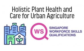 Manage Plant Health for Hydroponics Urban Farming