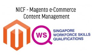 WSQ  Magento e-Commerce Content Management