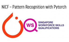 WSQ Pattern Recognition with Pytorch
