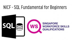 NICF - SQL Fundamental for Beginners 