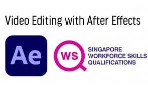 WSQ - Video Editing with After Effects