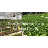 Basic Hydroponics Course for Urban Farming