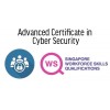 [MC] Advanced Certificate in Cyber Security (E-Learning)