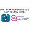 Cisco Certified Network Professional (CCNP) for ENARSI Training